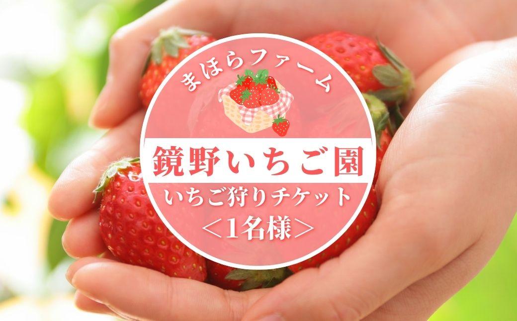 鏡野町まほらファーム いちご狩りご招待券（1名様）【2026年2月～5月】【029-a016】