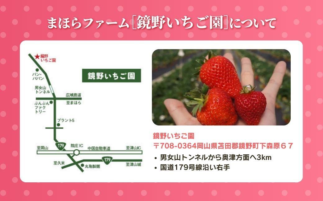 鏡野町まほらファーム いちご狩りご招待券（1名様）【2026年2月～5月】【029-a016】
