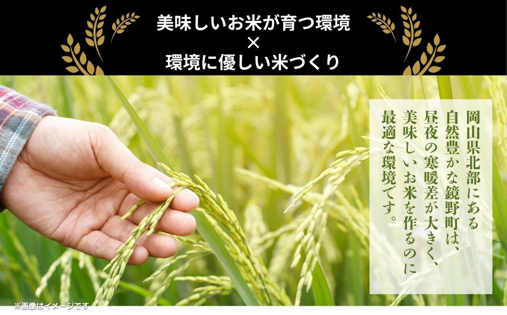 令和7年産 鏡野町産 きぬむすめ 精米【5kg】035-a012