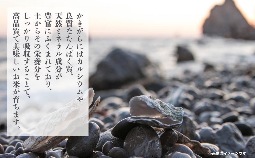 令和7年産 鏡野町産 きぬむすめ 精米【10kg】035-a013