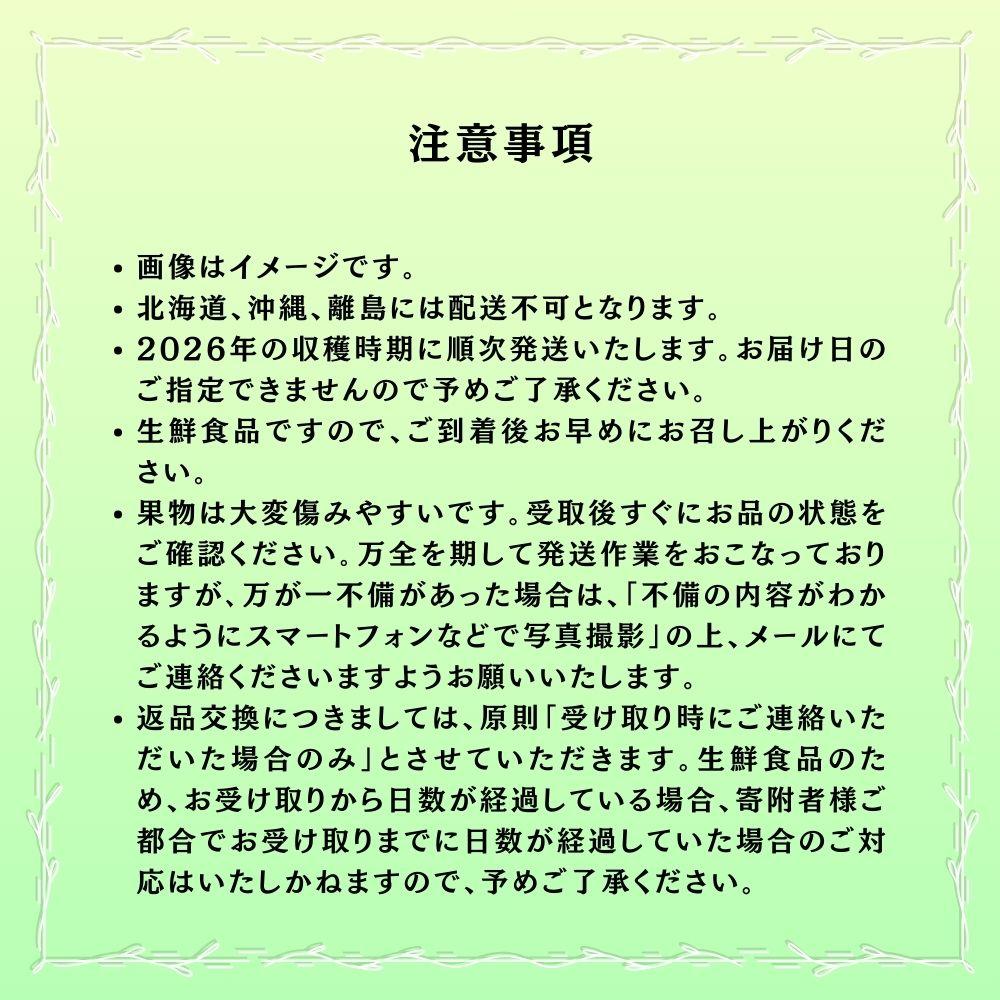 【2026年発送 先行予約】【梅村ファーム】朝摘み直送 シャインマスカット（2房入り 1.1kg以上）【030-a016】