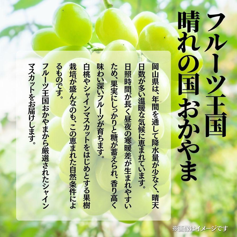【2026年発送分 先行予約】【梅村ファーム】朝摘み直送 シャインマスカット（3～5房入り 約2.0kg）【030-a017】