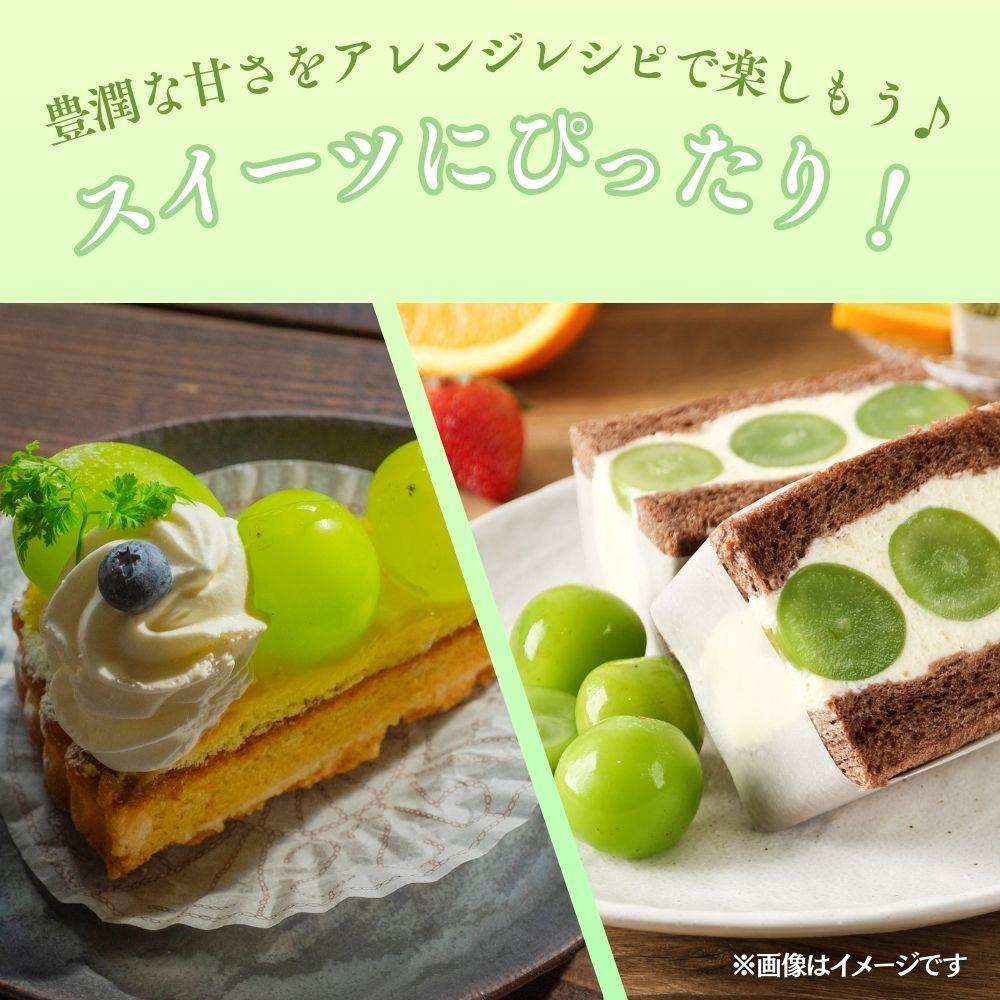 【2026年発送分 先行予約】【梅村ファーム】朝摘み直送 瀬戸ジャイアンツ（2房入り 1.1kg以上）【030-a018】