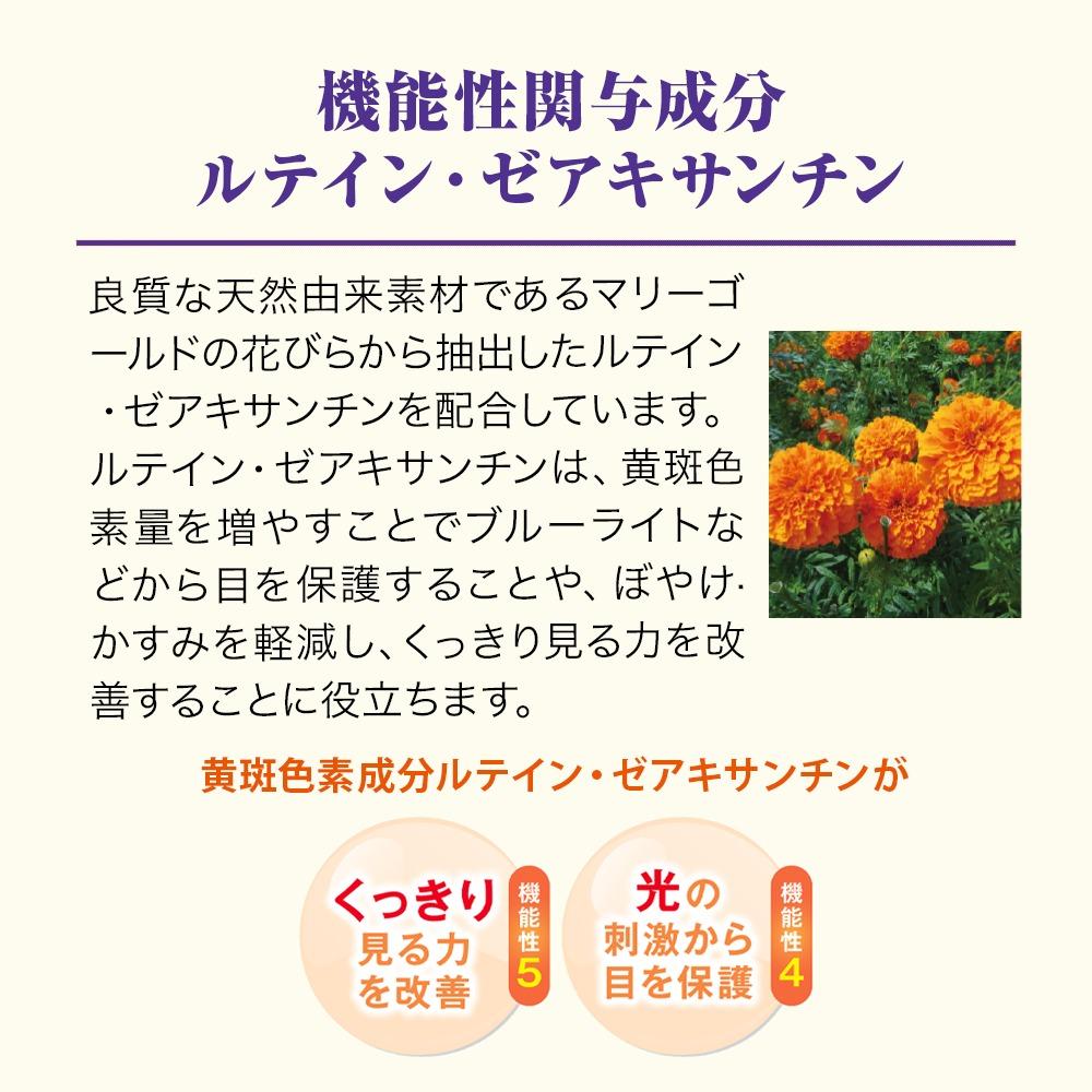 繝悶Ν繝シ繝吶Μ繝シシ九Ν繝繧、繝ウ 60逅 陲句・ 縲006-a125縲
