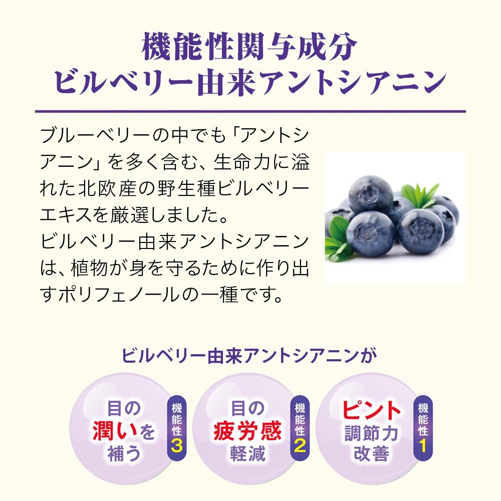 繝悶Ν繝シ繝吶Μ繝シシ九Ν繝繧、繝ウ 60逅 陲句・ 縲006-a125縲