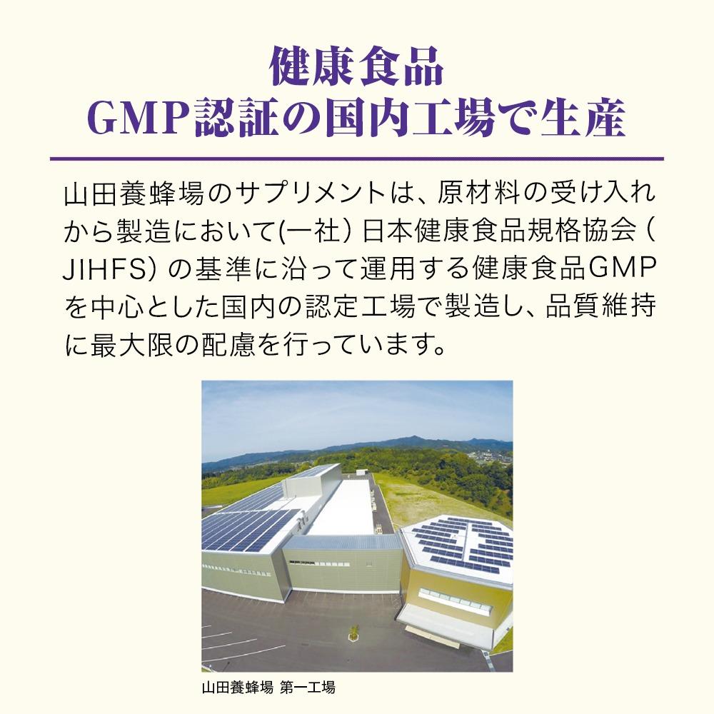 繝悶Ν繝シ繝吶Μ繝シシ九Ν繝繧、繝ウ 60逅 陲句・ 縲006-a125縲