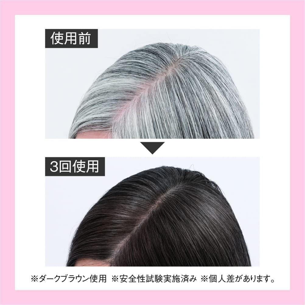 RJヘアカラートリートメント ナチュラルブラック 210g   【006-a120】