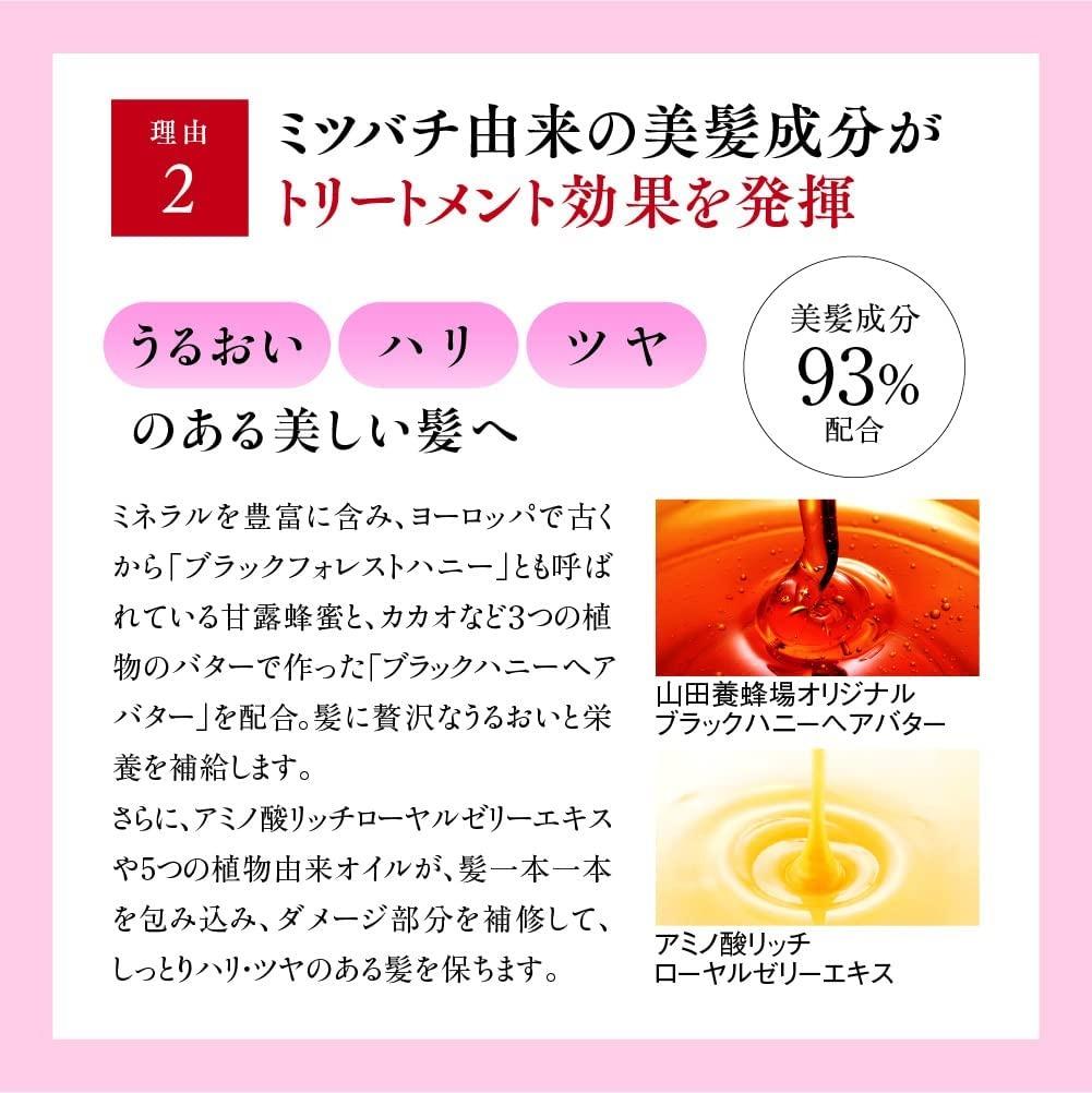 RJヘアカラートリートメント ナチュラルブラック 210g   【006-a120】