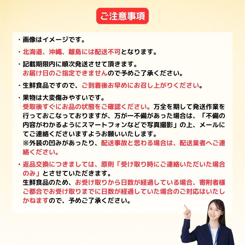 岡山白桃2玉（約500ｇ）＆シャインマスカット晴王1房（約500ｇ）化粧箱入