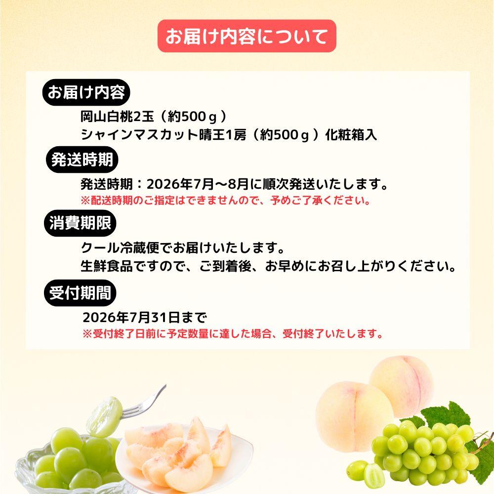 岡山白桃2玉（約500ｇ）＆シャインマスカット晴王1房（約500ｇ）化粧箱入