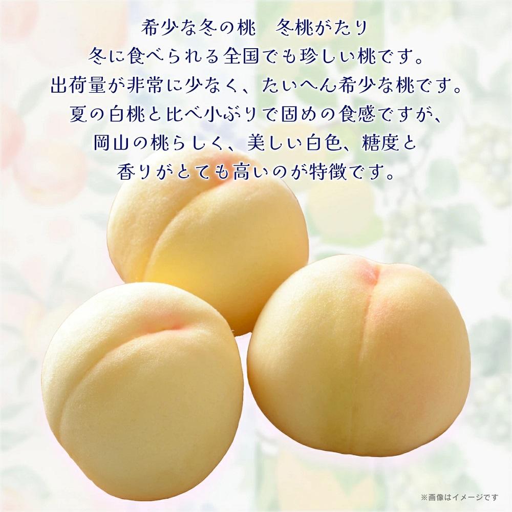 岡山嬿¡ããã6ïœ9çïŒèšçŽ1.3ïœïœïŒåç²§ç®±å
¥