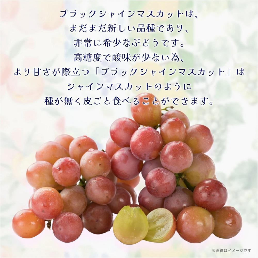 ブラックシャインマスカット1房（700ｇ）