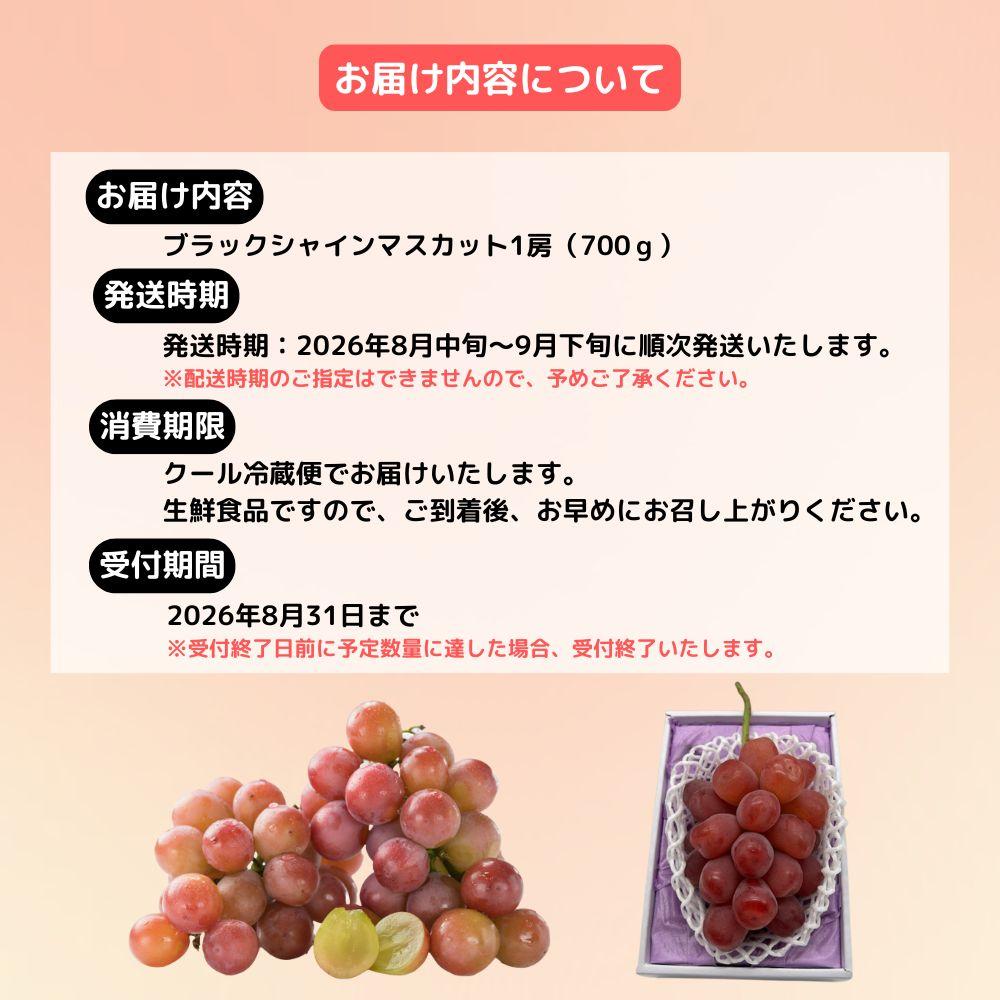 ブラックシャインマスカット1房（700ｇ）