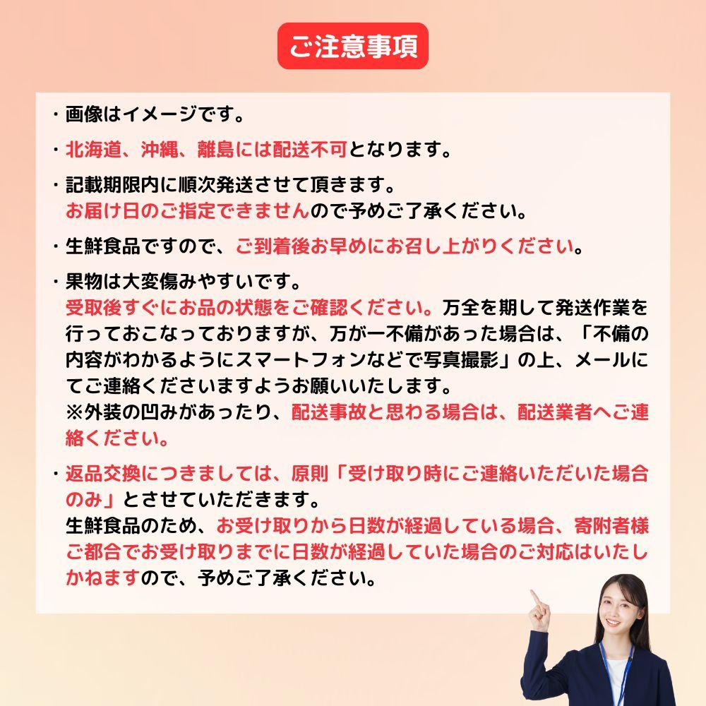 ブラックシャインマスカット1房（700ｇ）