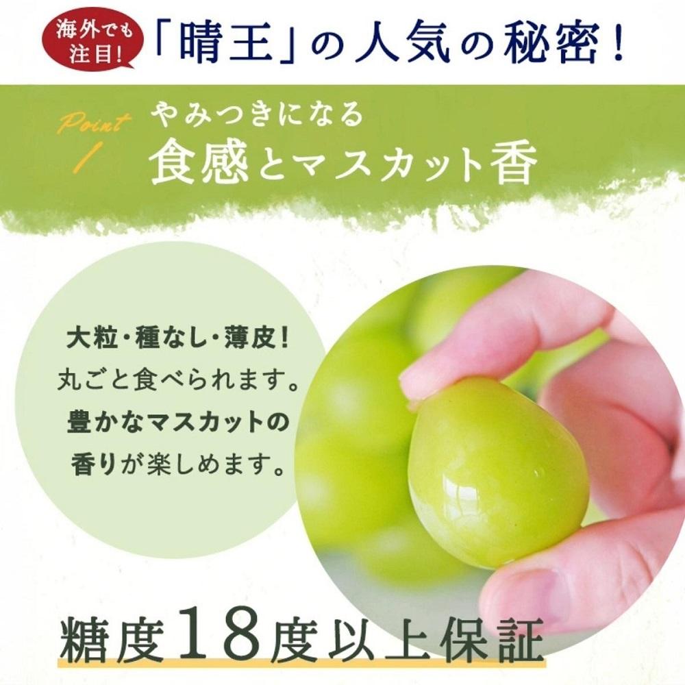 ã·ã£ã€ã³ãã¹ã«ããæŽç1æ¿ïŒçŽ800ïœïŒåç²§ç®±å
¥