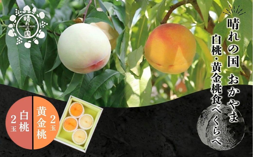【先行予約】晴れの国おかやま 白桃・黄金桃食べ比べ４玉【8月下旬～9月上旬発送】【021-a024】