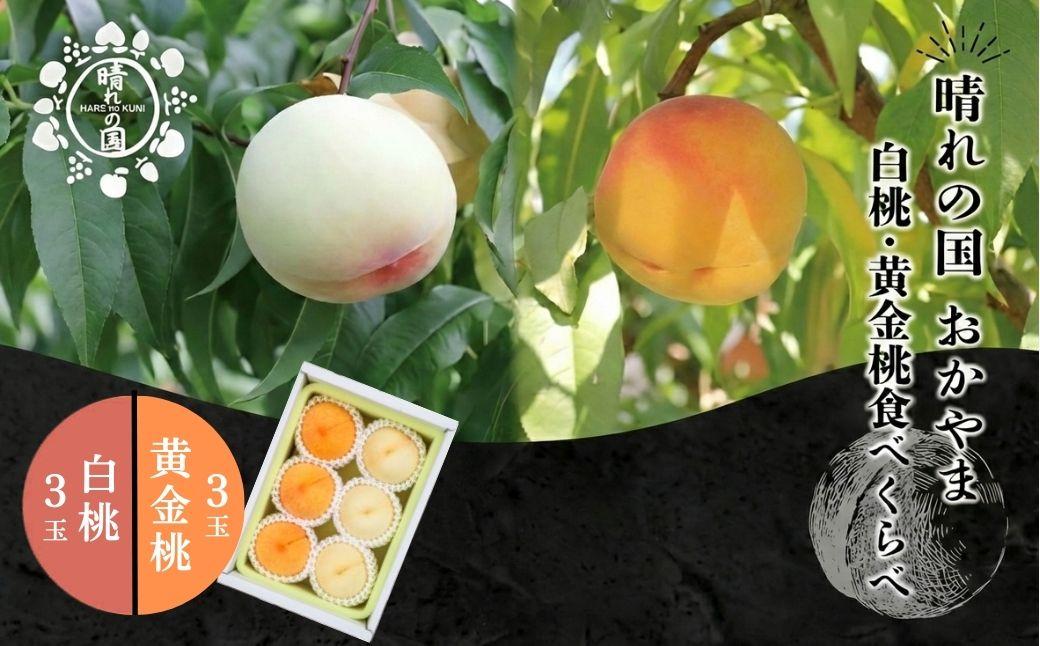 【先行予約】晴れの国おかやま 白桃・黄金桃食べ比べ6玉【8月下旬～9月上旬発送】【021-a025】