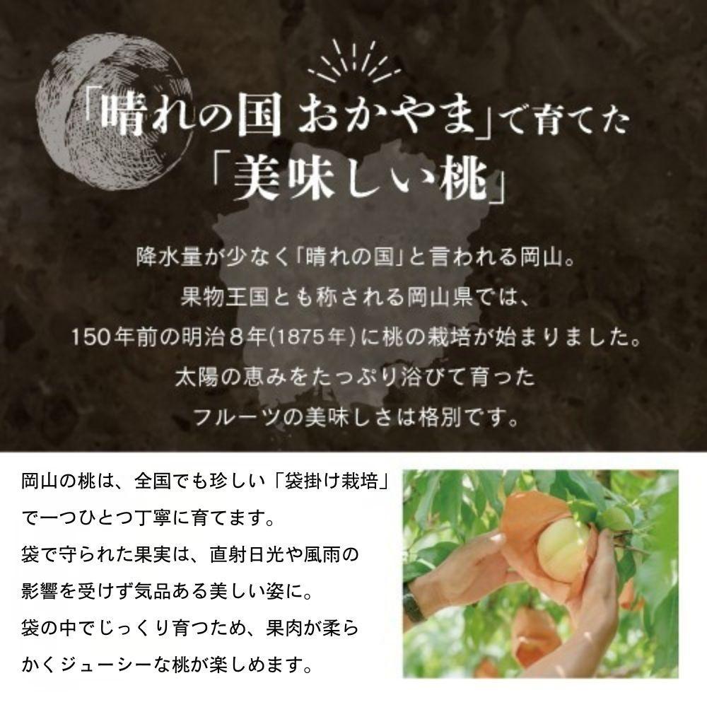 【先行予約】晴れの国おかやま 白桃・黄金桃食べ比べ6玉【8月下旬～9月上旬発送】【021-a025】