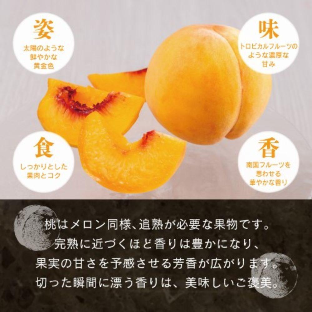 【先行予約】晴れの国おかやま 白桃・黄金桃食べ比べ6玉【8月下旬～9月上旬発送】【021-a025】