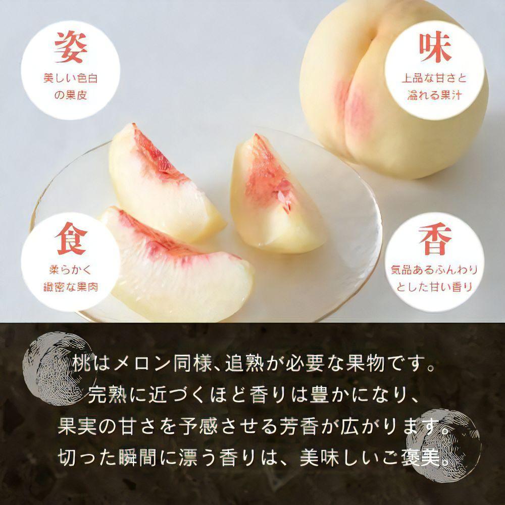【先行予約】晴れの国おかやま 白桃・黄金桃食べ比べ6玉【8月下旬～9月上旬発送】【021-a025】