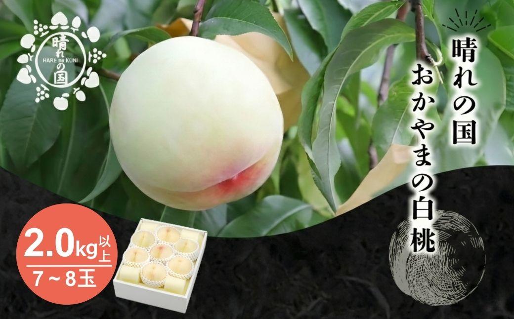 【先行予約】晴れの国おかやま 白桃2.0kg以上（7～8玉）【８月中旬～９月上旬発送】【021-a027】