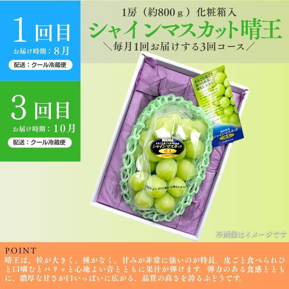 ＜定期便全3回＞シャインマスカット晴王1房800g 2回とぼっけぇピオーネ1房800g 1回の計3回コース [040-a013]