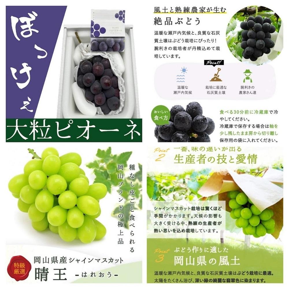 ＜定期便全3回＞シャインマスカット晴王1房800g 2回とぼっけぇピオーネ1房800g 1回の計3回コース [040-a013]