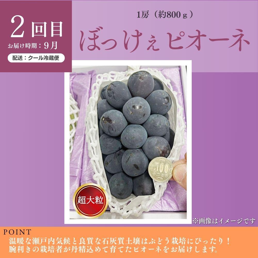＜定期便全3回＞シャインマスカット晴王1房800g 2回とぼっけぇピオーネ1房800g 1回の計3回コース [040-a013]