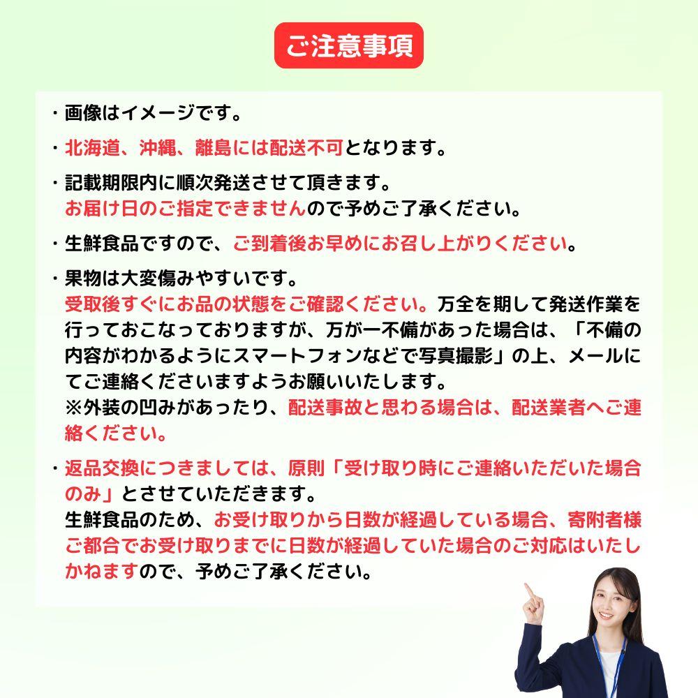 ＜定期便3回＞ 岡山白桃、シャインマスカット晴王、ぼっけぇピオーネの3回コース [040-a014]