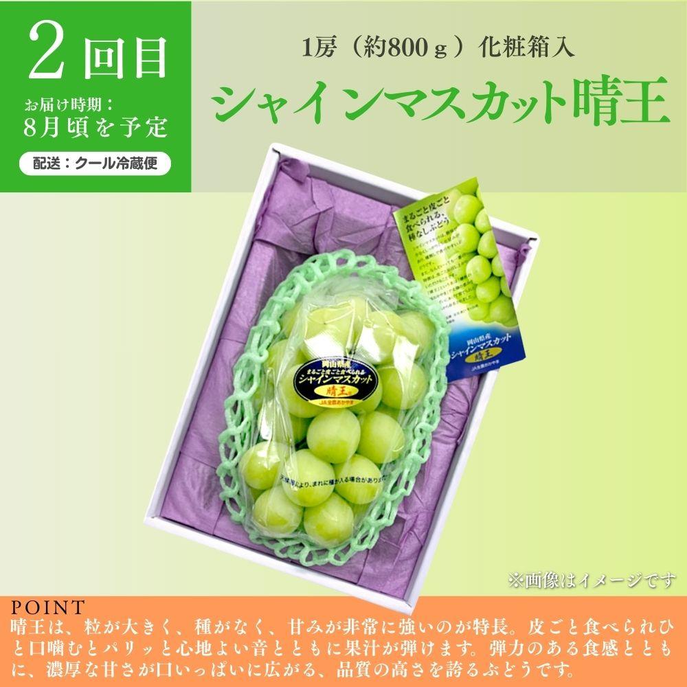 ＜定期便3回＞ 岡山白桃、シャインマスカット晴王、ぼっけぇピオーネの3回コース [040-a014]