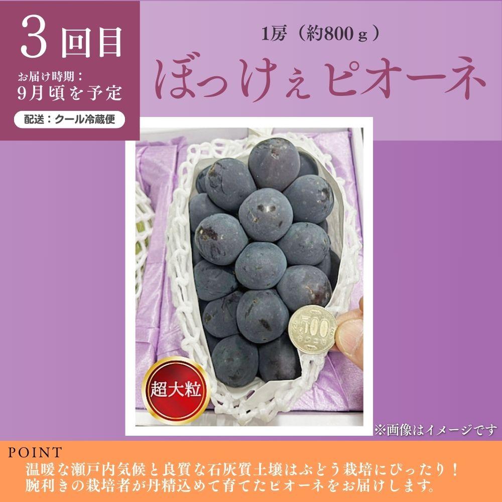 ＜定期便3回＞ 岡山白桃、シャインマスカット晴王、ぼっけぇピオーネの3回コース [040-a014]