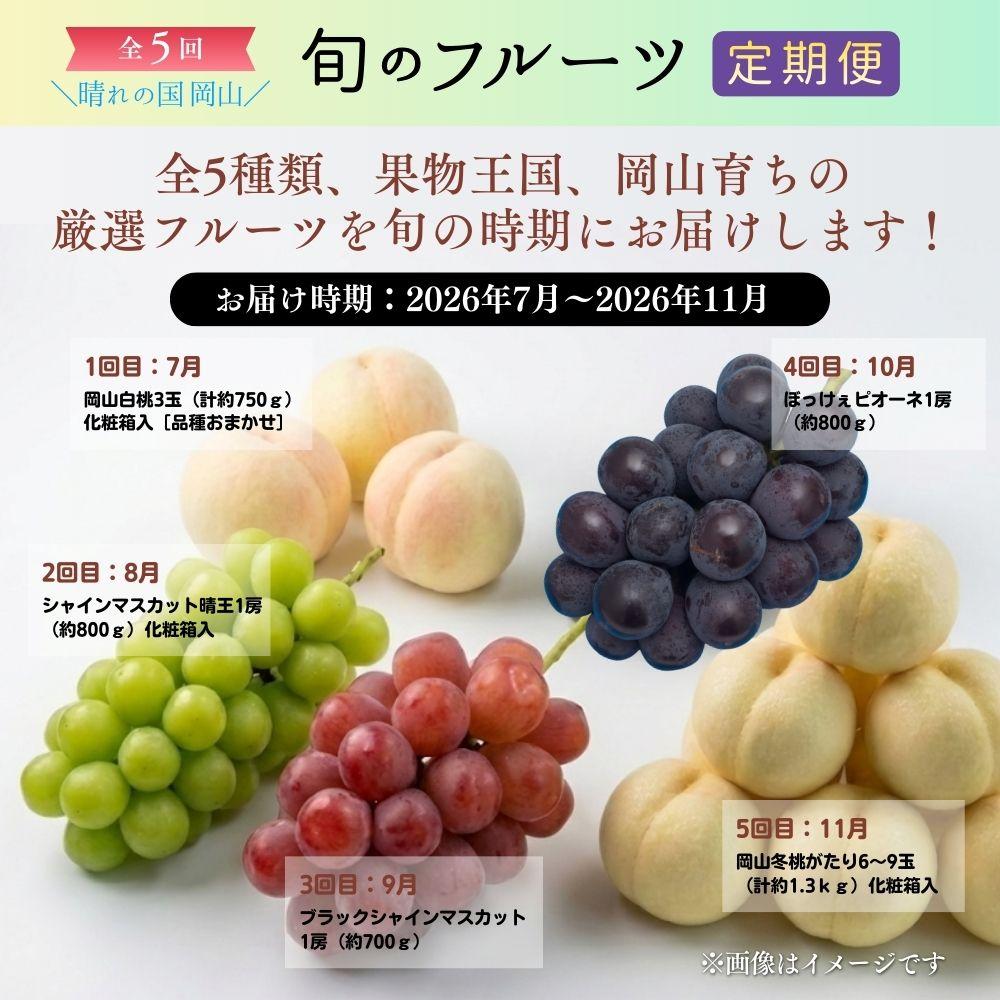 ＜定期便5回＞ 岡山白桃、シャインマスカット晴王、ブラックシャインマスカット、ぼっけぇピオーネ、冬桃がたりの5回コース [040-a015]