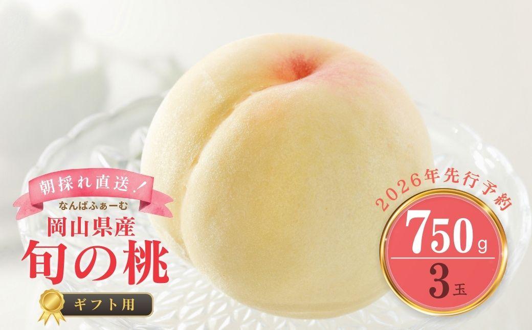 ＜数量限定＞［なんばふぁーむ］岡山県産 旬の桃 750kg（3玉）[ギフト用]【2026年発送】039-a012