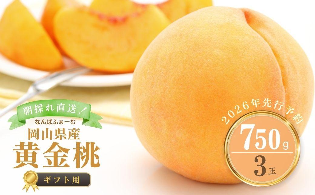 【2026年先行予約】［なんばふぁーむ］岡山県産 黄金桃 750g（3玉）[ギフト用]【039-a014】