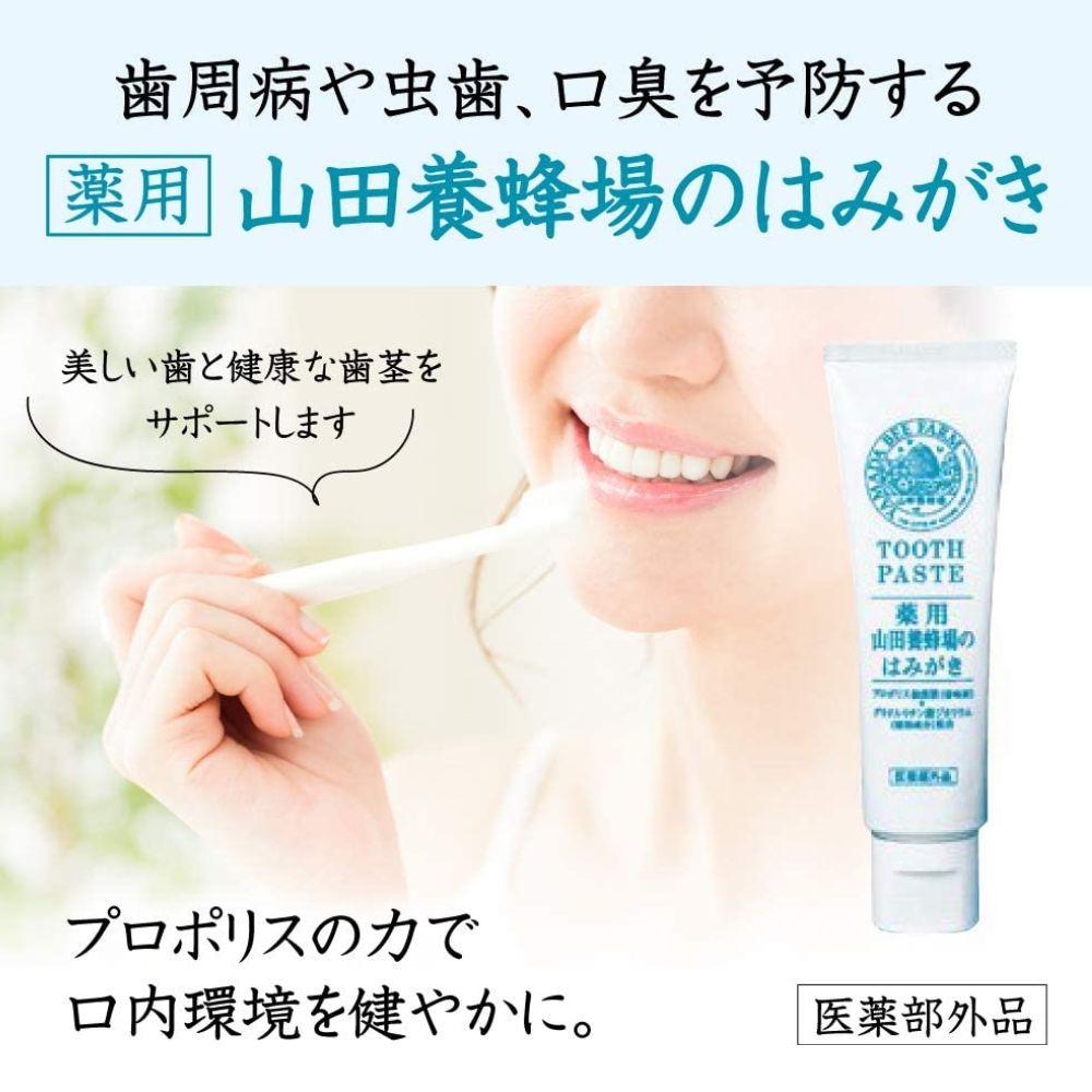 山田養蜂場のはみがき 100g【006-a134】