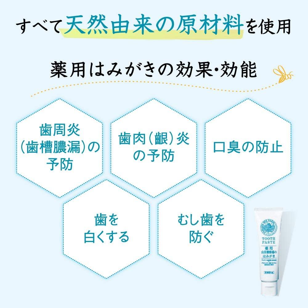 山田養蜂場のはみがき 100g【006-a134】