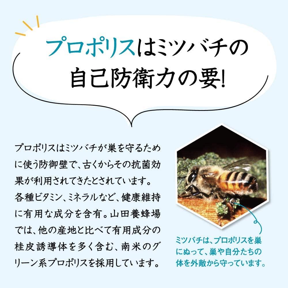 山田養蜂場のはみがき 100g【006-a134】