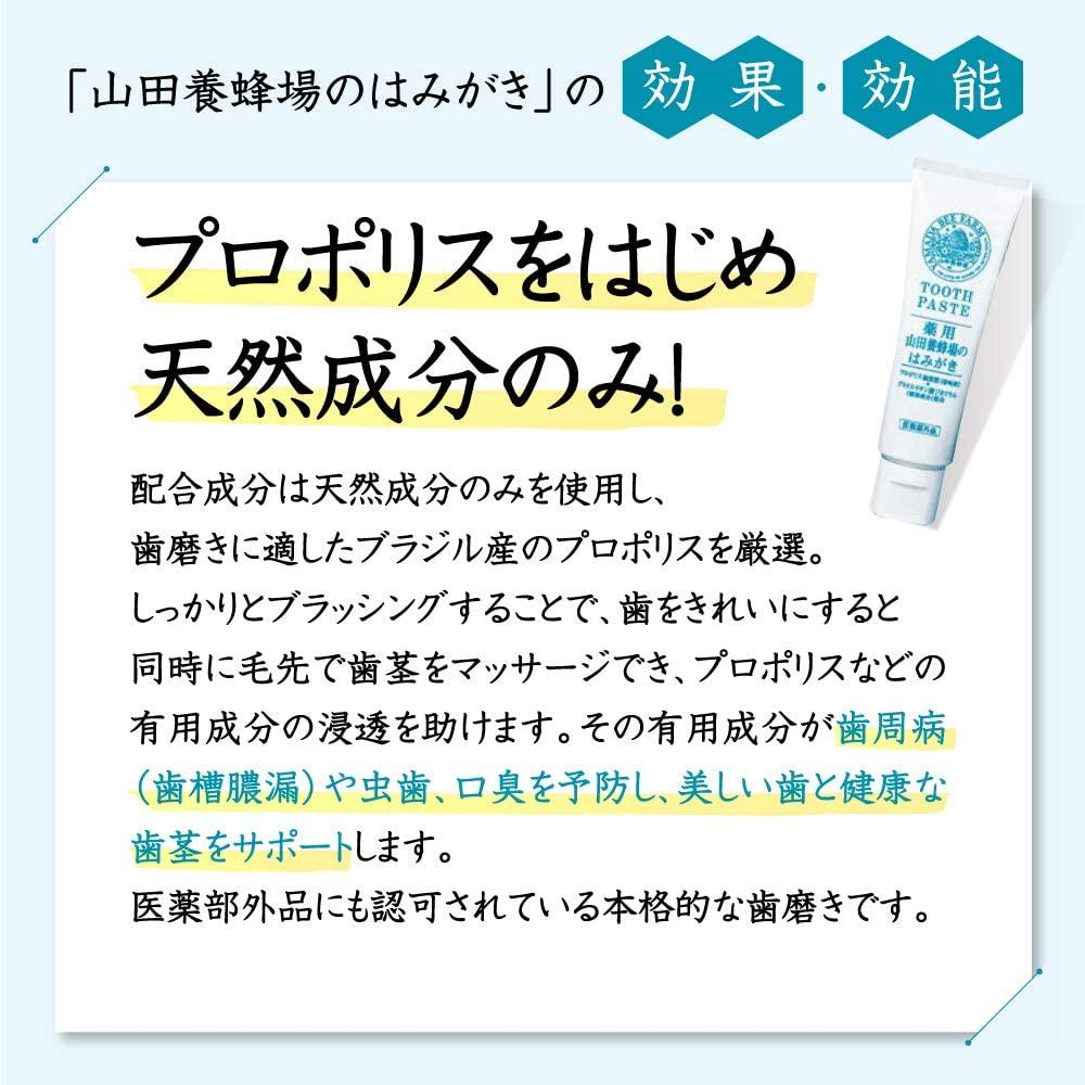 山田養蜂場のはみがき 100g【006-a134】