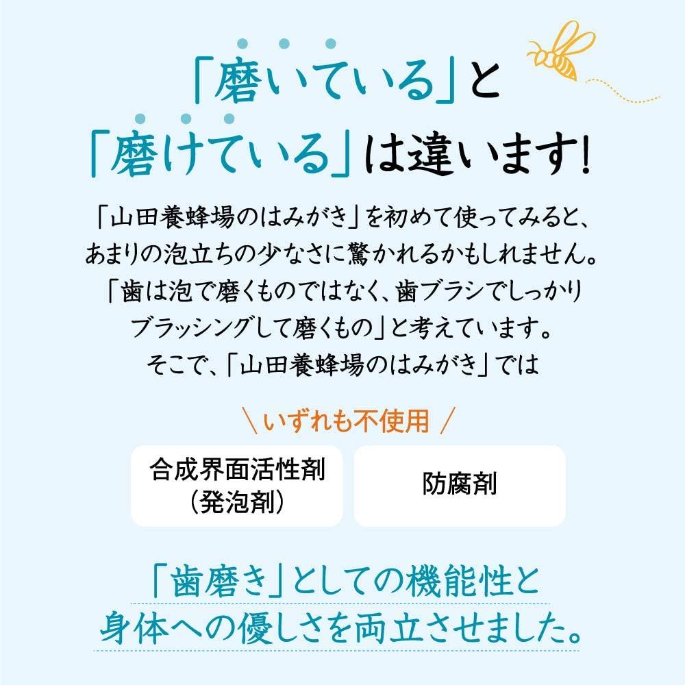 山田養蜂場のはみがき 100g【006-a134】