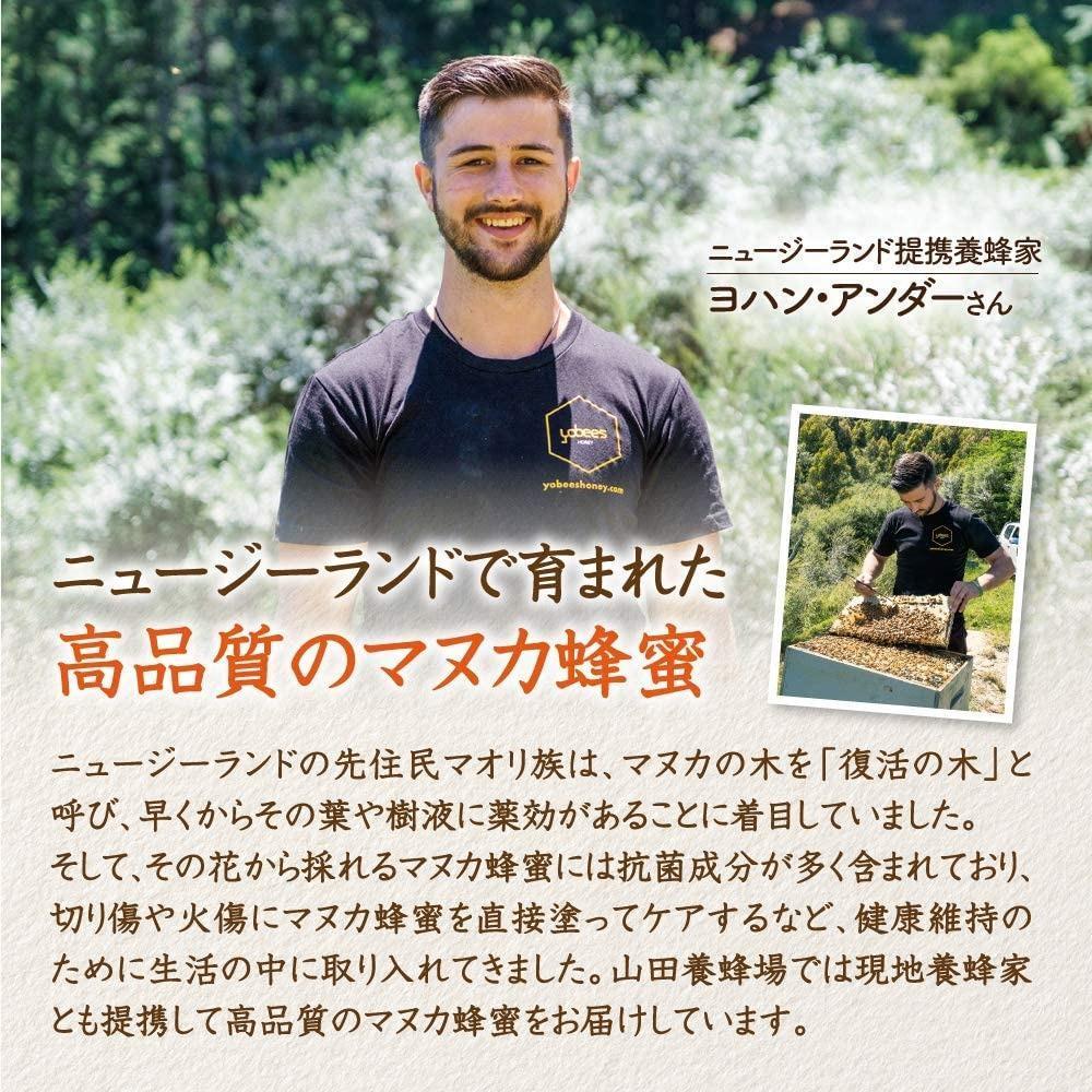 ＜定期便6回＞マヌカ蜂蜜MG500+(クリームタイプ) 200g  【006-a139】