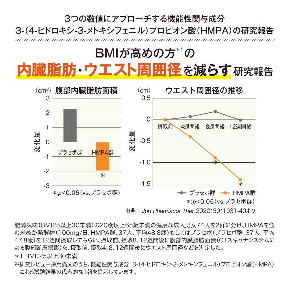 糖脂カットスリム〈30袋/箱入〉（02152）【006-a142】｜機能性表示食品 血糖値 サプリ サプリメント 健康食品 個包装 岡山県 鏡野町
