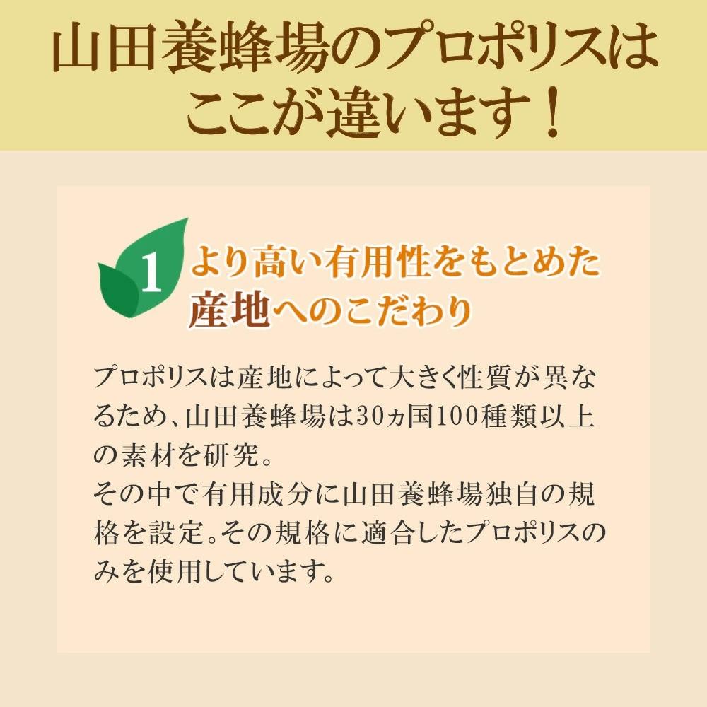 ビーエナジードリンク〈30ml×10本入〉（00136）【006-a144】｜栄養ドリンク ビードリンク はちみつドリンク 蜂蜜ドリンク はちみつ ローヤルゼリー プロポリス ビタミンC 岡山県 鏡野町