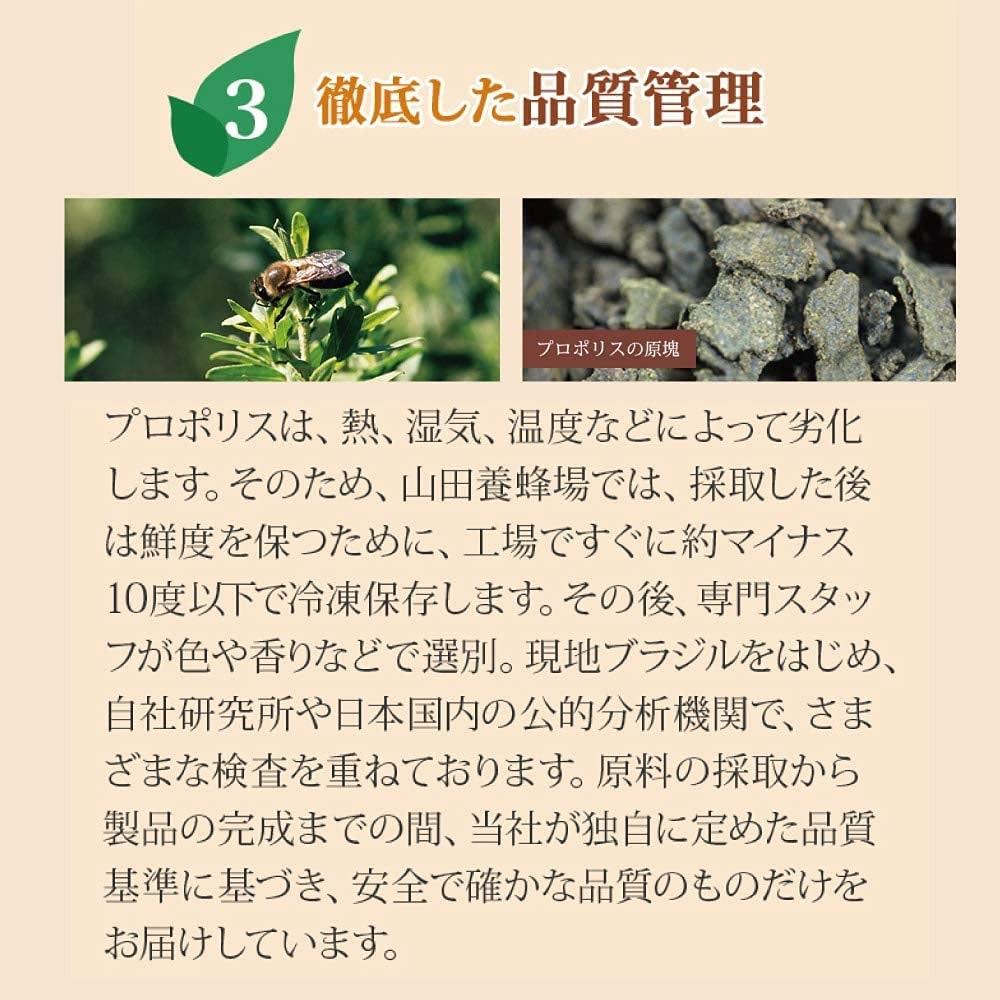 ビーエナジードリンク〈30ml×10本入〉（00136）【006-a144】｜栄養ドリンク ビードリンク はちみつドリンク 蜂蜜ドリンク はちみつ ローヤルゼリー プロポリス ビタミンC 岡山県 鏡野町