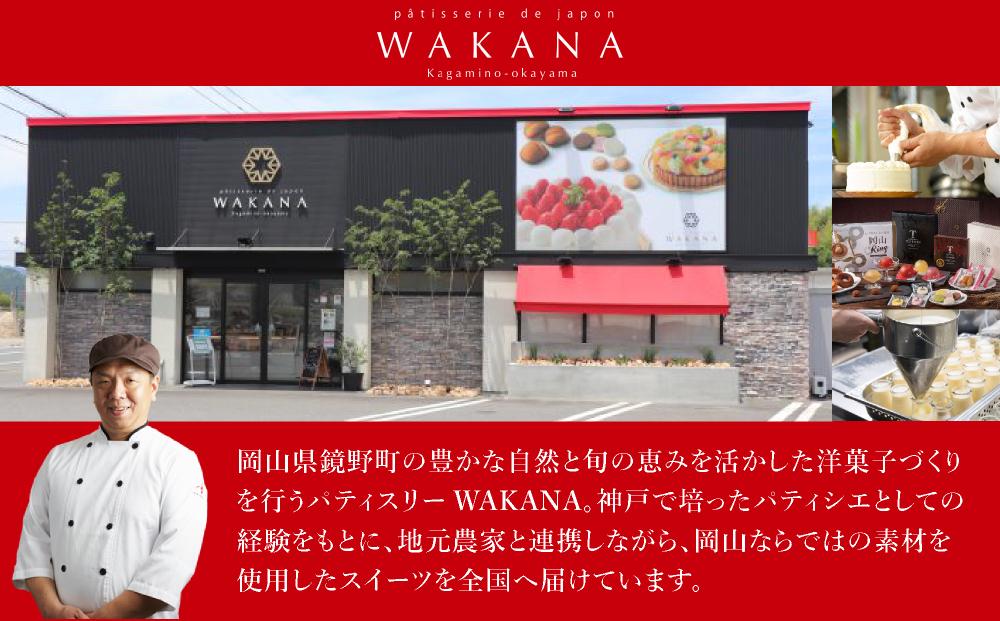 葛餅アイスバー わかにゃんセット（6本入り）｜アイス アイスバー 葛餅 くず餅 葛餅アイス フルーツアイス スイーツ お取り寄せスイーツ ギフト 詰め合わせ 抹茶 チョコ 岡山県 鏡野町