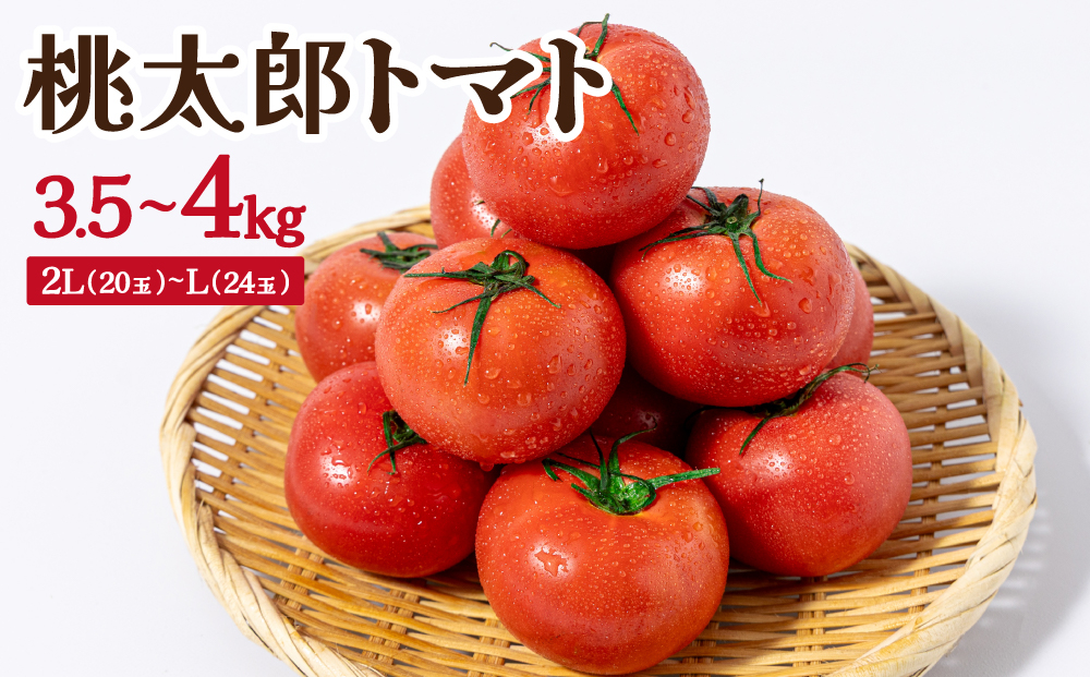 桃太郎トマト　3.5kg～4kg　2L(20玉)～L(24玉)｜桃太郎トマト トマト とまと 国産 野菜 夏野菜 新鮮 高糖度 岡山県 鏡野町