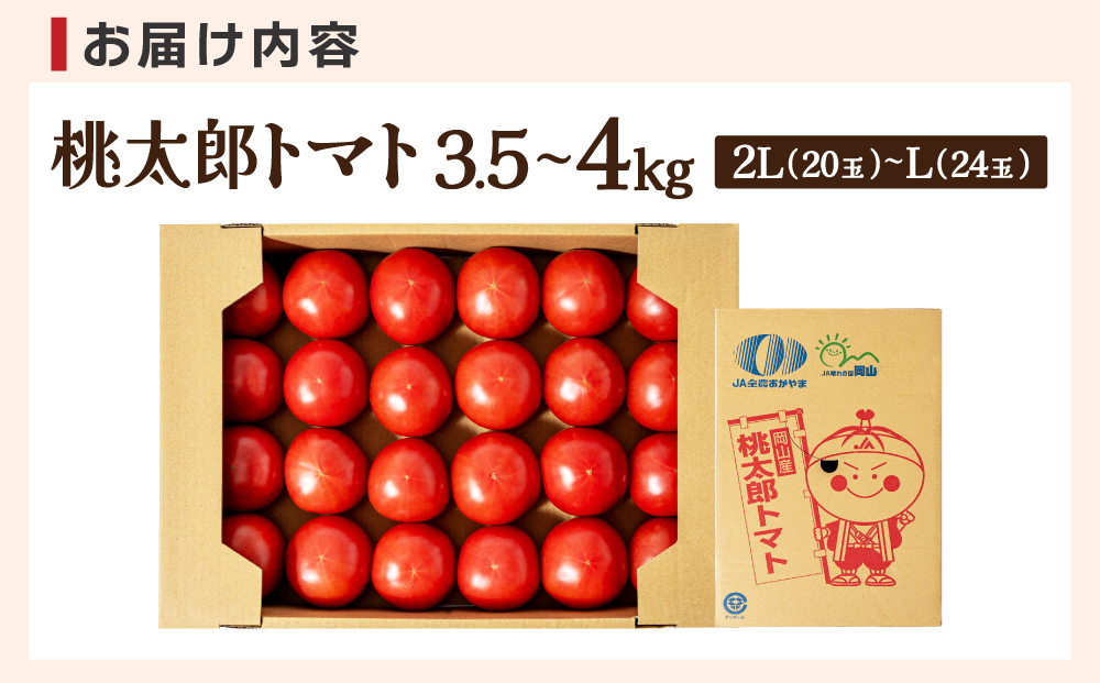 桃太郎トマト　3.5kg～4kg　2L(20玉)～L(24玉)｜桃太郎トマト トマト とまと 国産 野菜 夏野菜 新鮮 高糖度 岡山県 鏡野町