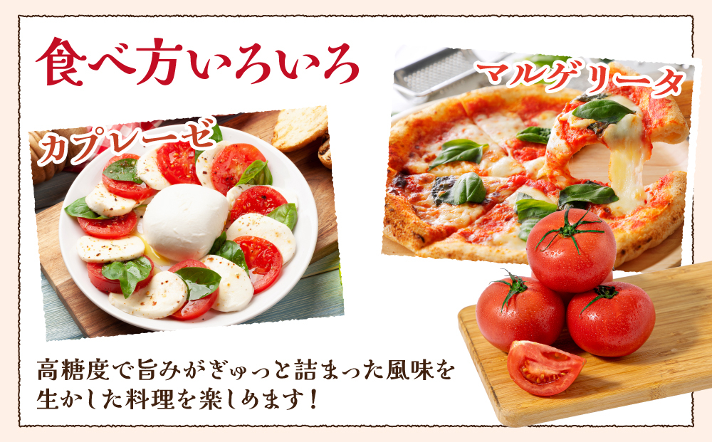 桃太郎トマト　3.5kg～4kg　2L(20玉)～L(24玉)｜桃太郎トマト トマト とまと 国産 野菜 夏野菜 新鮮 高糖度 岡山県 鏡野町