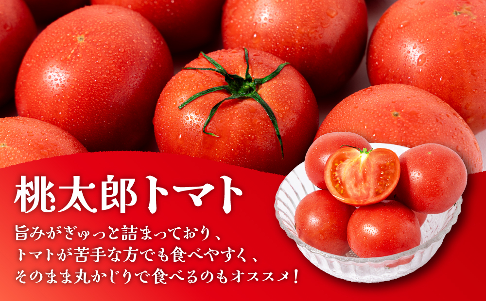 桃太郎トマト　3.5kg～4kg　2L(20玉)～L(24玉)｜桃太郎トマト トマト とまと 国産 野菜 夏野菜 新鮮 高糖度 岡山県 鏡野町