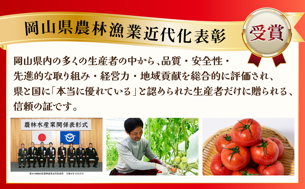 桃太郎トマト　3.5kg～4kg　2L(20玉)～L(24玉)｜桃太郎トマト トマト とまと 国産 野菜 夏野菜 新鮮 高糖度 岡山県 鏡野町