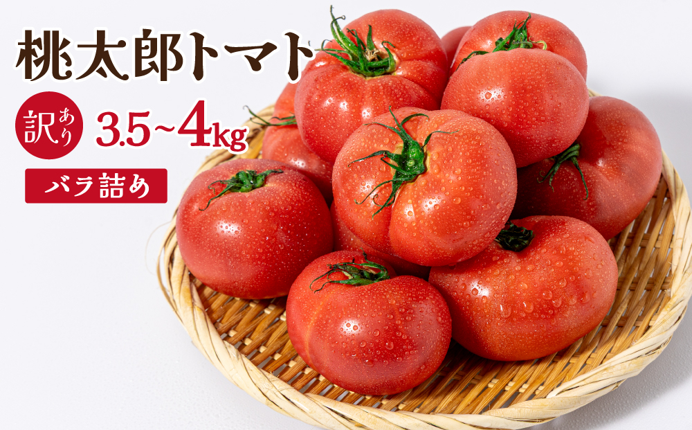 【先行予約】桃太郎トマト［規格外］　3.5kg～4kg　バラ詰め｜桃太郎トマト トマト とまと 訳アリ 規格外 国産 野菜 夏野菜 新鮮 高糖度 岡山県 鏡野町